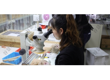 貼片共模電感方向如何區(qū)分你知道嗎？